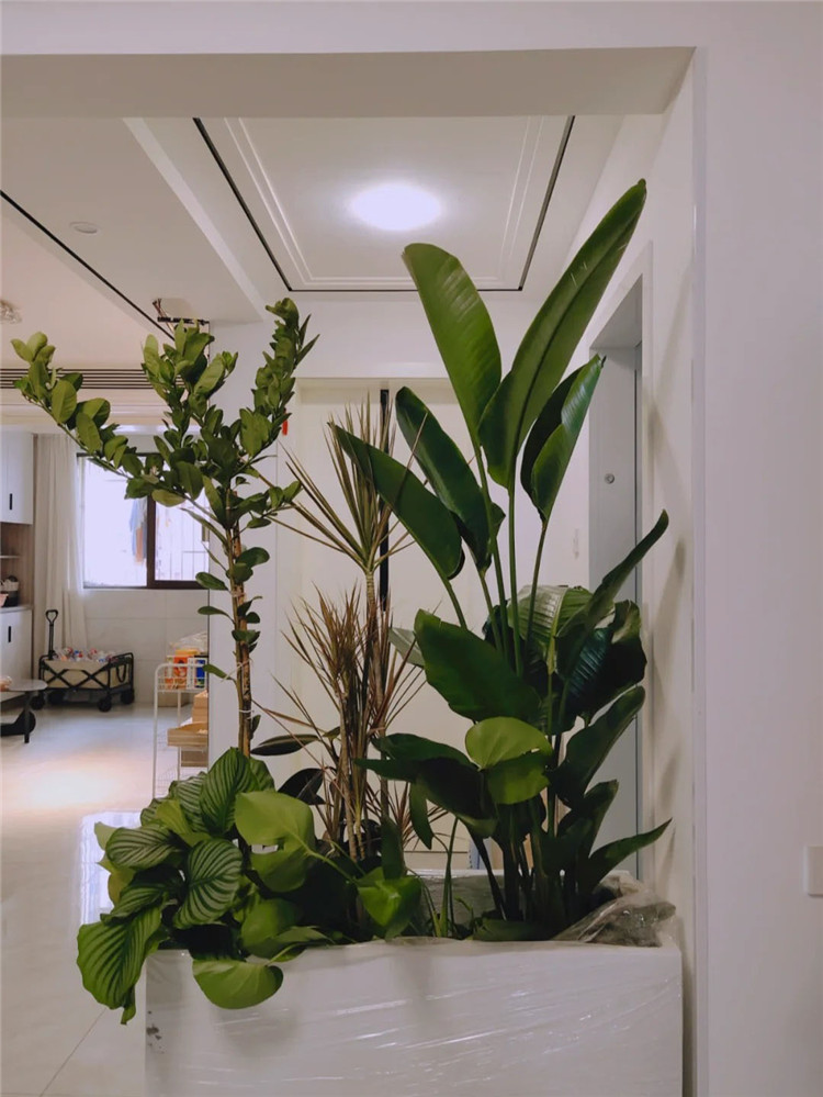 武漢裝修,空間規(guī)劃,室內(nèi)設(shè)計(jì)